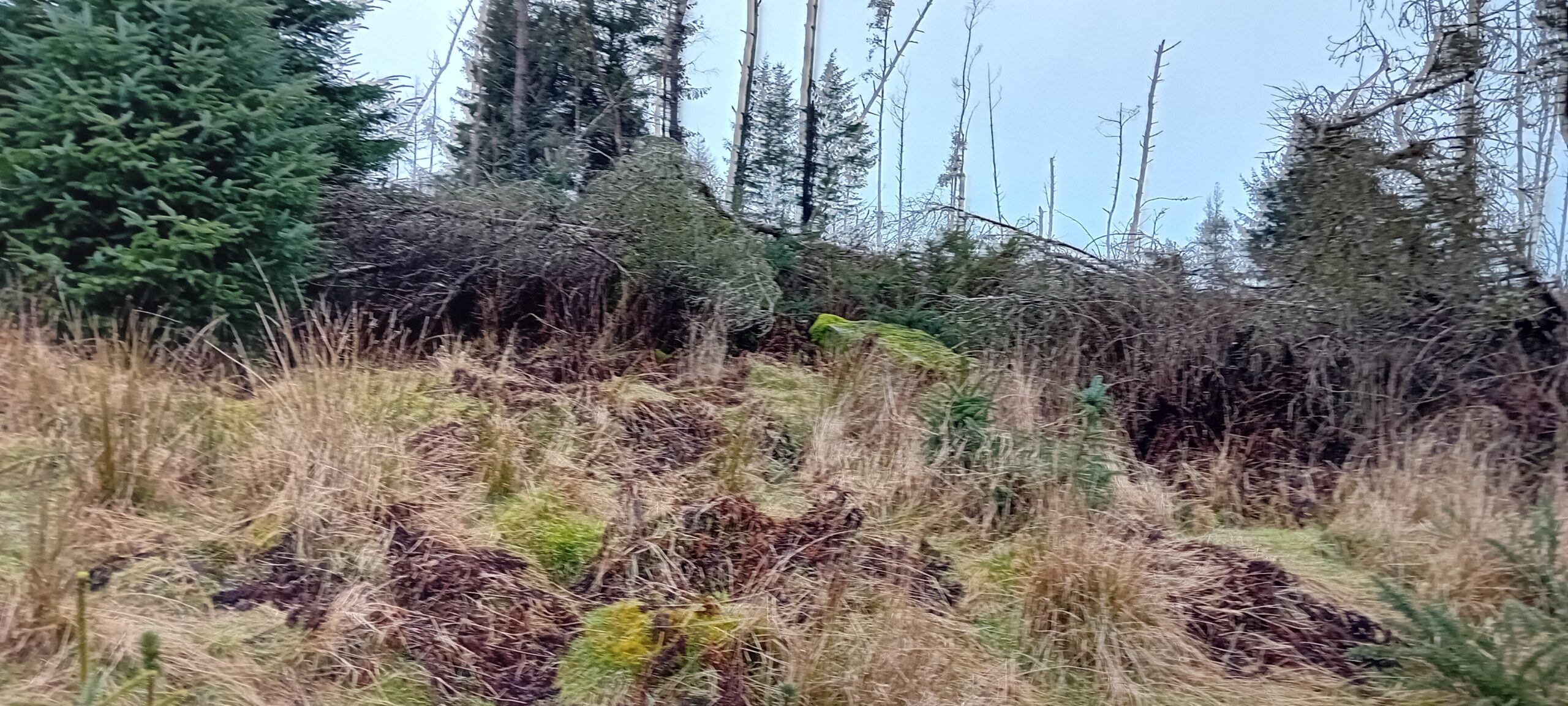 Frendraught recumbent stone circle